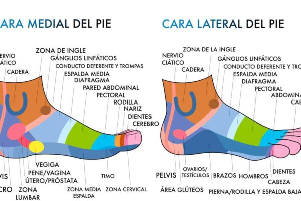 reflexologia
