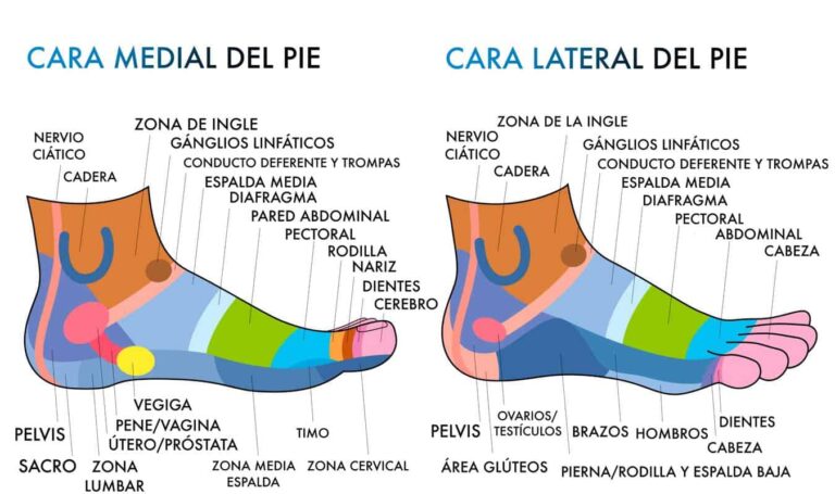 reflexologia